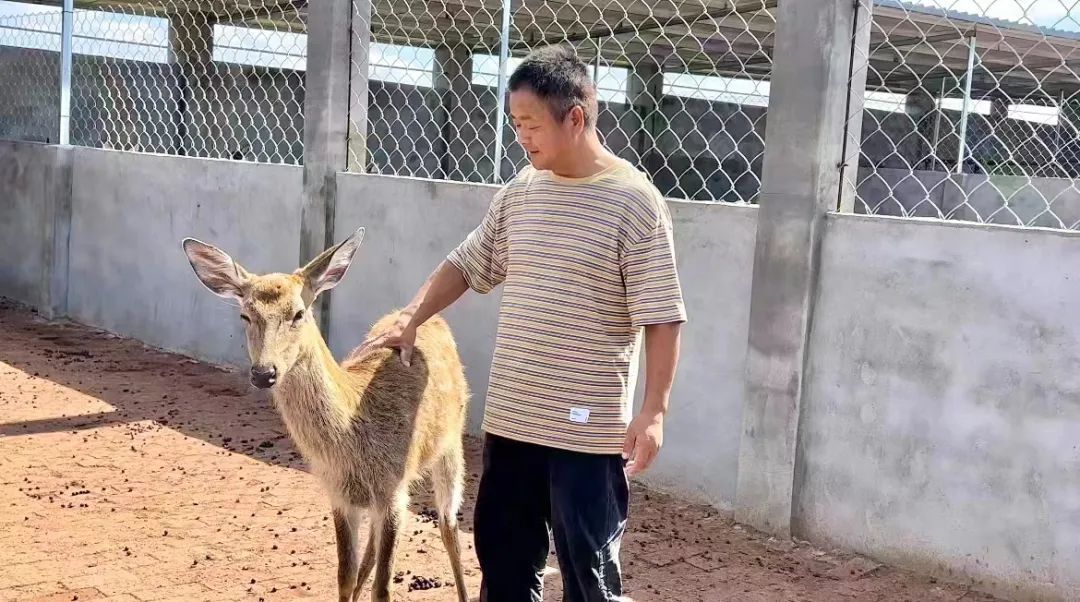 大奖888手机版客户端下载